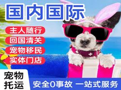 天津航空快运国际宠物托运 【国
